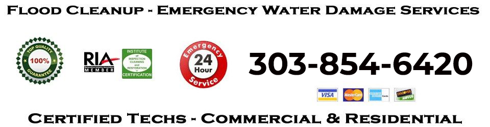 Sewage Cleanup and Service Restoration Pros