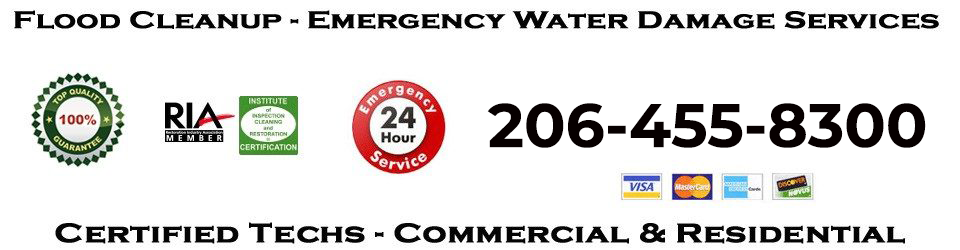 Sewage Cleanup and Service Restoration Pros