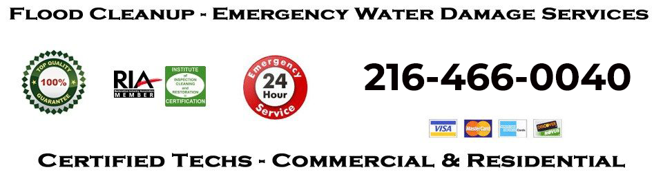 Sewage Cleanup and Service Restoration Pros