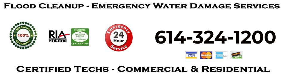 Sewage Cleanup and Service Restoration Pros